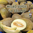 Imagem de Fruta Melão Verde Planicie Verde Pt