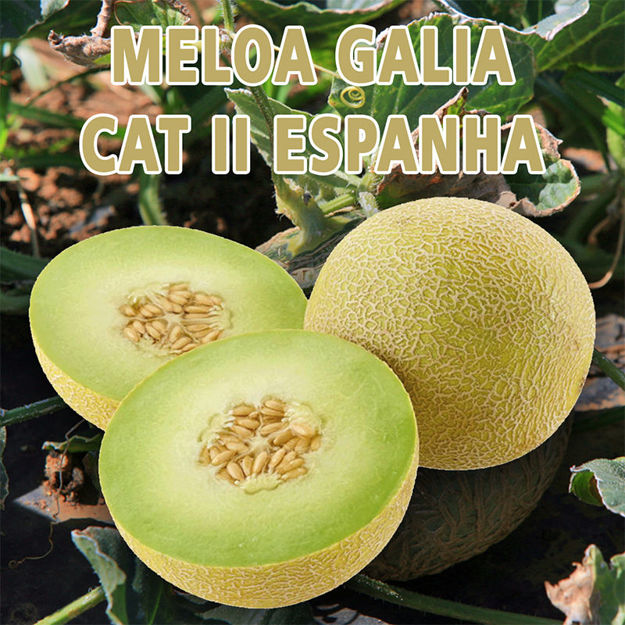 Imagem de Fruta Melancia Preta Planicie Verde Pt