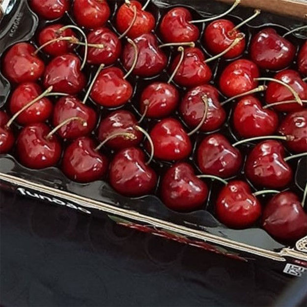 Imagem de Fruta Cereja Do Fundao Certificada De Origem