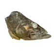 Picture of Grouper Head Granel (For Chefs)