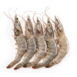 Picture of Wild Shrimp Madagascar (3o-40) Frip