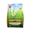 Imagem de Arroz Bom Sucesso Agulha (Sprint)