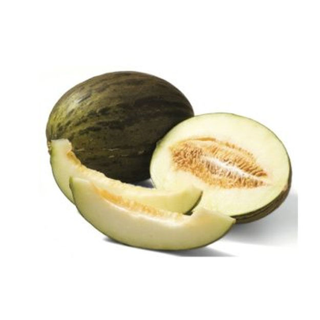 Imagem de Fruta Melão Verde Catii Brasil