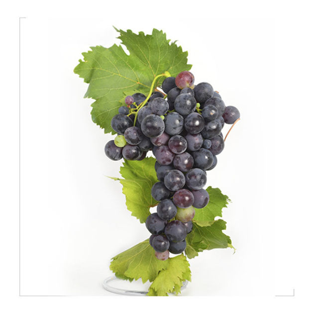 Imagem de Fruta Uva Afonso Cat Ii Pt