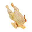 Imagem de Frango para Churrasco 7/9 Granel Cax10Kg