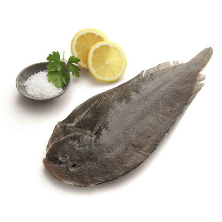 Picture of Whole Plaice 400/600 Fishing Bulk Kg