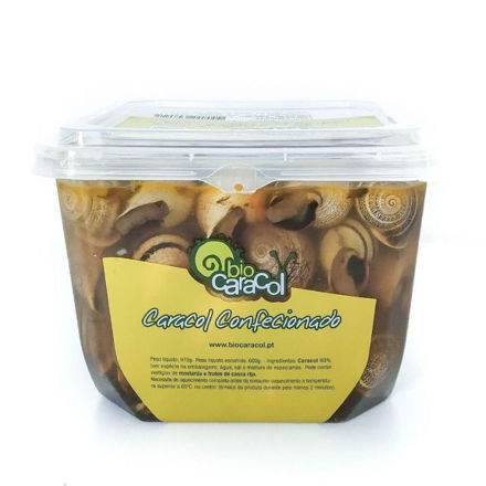 Imagem de Caracol Castanho Riscado Confecionado Cong.Biocaracol