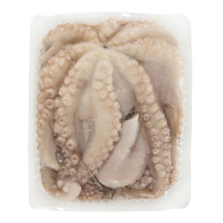 Picture of Octupus Canosa Size 4-6 (00 c/c) No glazing Frozen KG