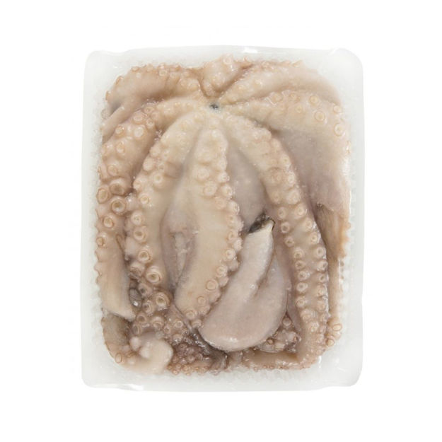 Picture of Octupus Canosa Size 6+ (000 C/C no Glazing) Frozen KG