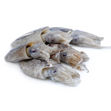 Picture of Gelpeixe Whole Cuttle Fish With Ink  (100/200)