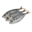 Picture of Gelpeixe Big Mackerel 2/4 (Chicharro) Kg