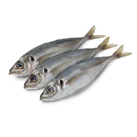 Imagem de Carapau Grande 2/4 (Chicharro) Gelpeixe Saco Kg