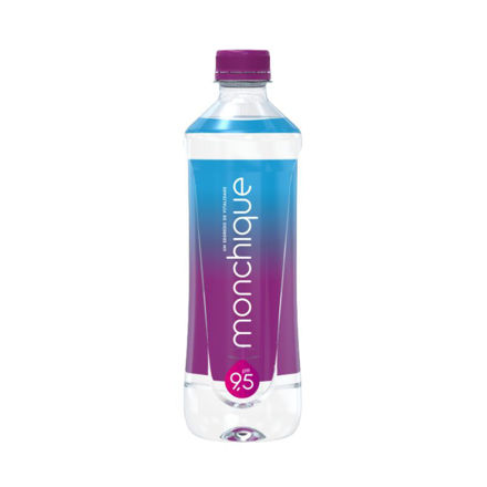 Picture of Monchique Alkaline Mineral Water 51CL