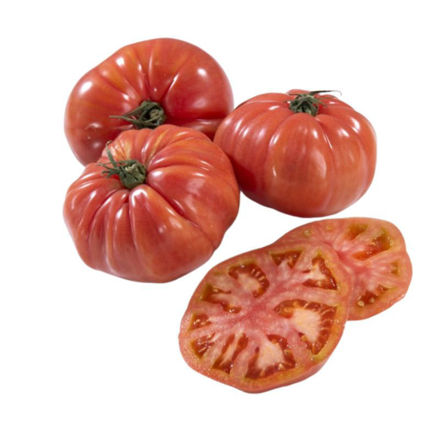 Picture of Tomato Rosa