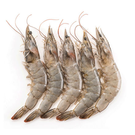 Picture of Mozambique Wild Shrimp (20-30) FRIP – 800g