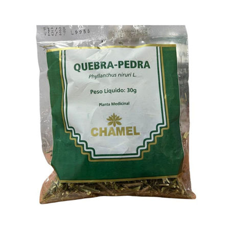 Picture of Quebra Pedra Tea Chamel