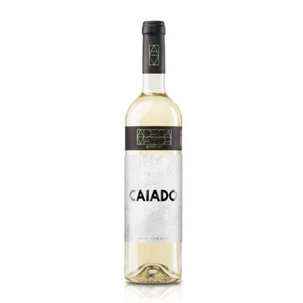 Picture of Adega Mayor Caiado