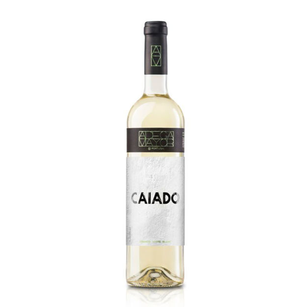 Picture of Adega Mayor Caiado