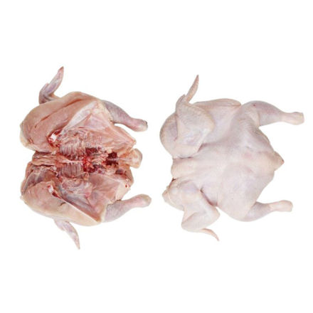 Picture of Barbecue Chicken 7/9 Bulk Box 10Kg