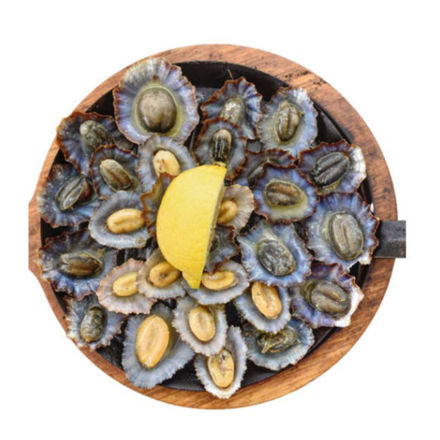Picture of Azores Limpets Frozen Gelpeixe 15Kg