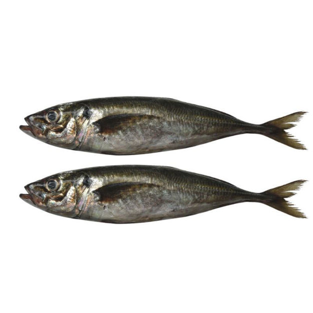 Picture of Gelpeixe Big Mackerel 2/4 (Chicharro) 2 units per Bag
